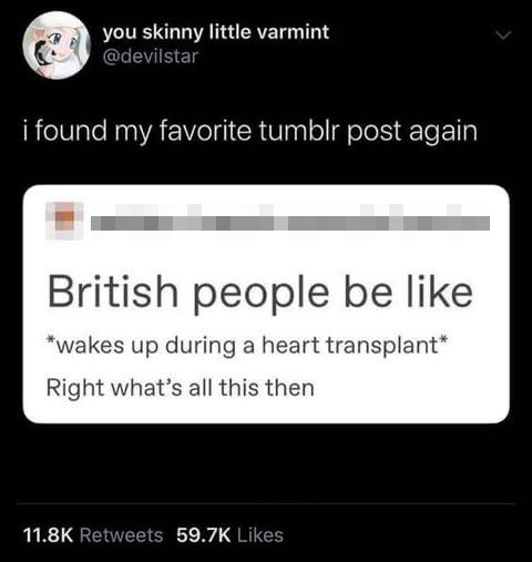 funny tweets - multimedia - you skinny little varmint i found my favorite tumblr post again British people be wakes up during a heart transplant Right what's all this then
