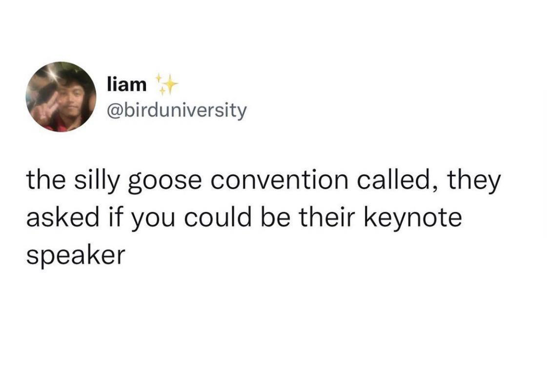 funny tweets - Internet meme - liam the silly goose convention called, they asked if you could be their keynote speaker