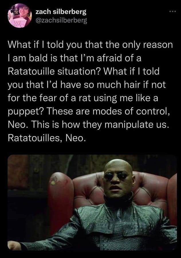 fresh memes - photo caption - $32 We zach silberberg What if I told you that the only reason I am bald is that I'm afraid of a Ratatouille situation? What if I told you that I'd have so much hair if not for the fear of a rat using me a puppet? These are m