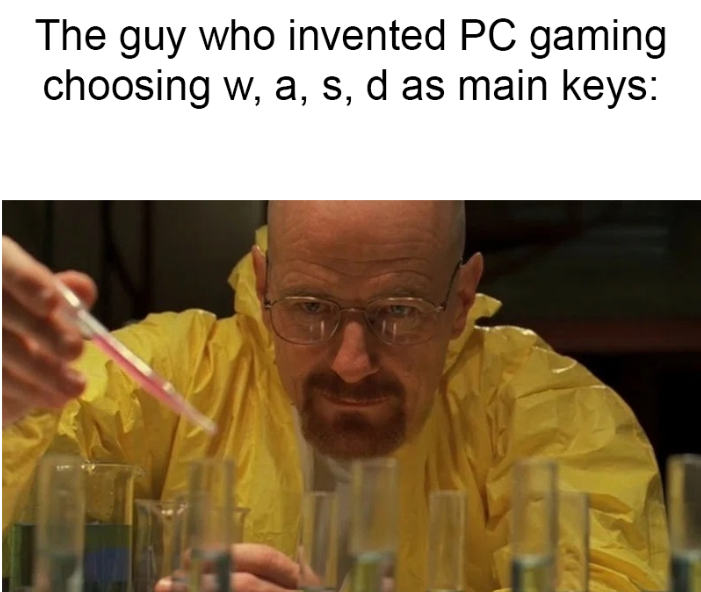 gaming memes - Internet meme - The guy who invented Pc gaming choosing w, a, s, d as main keys