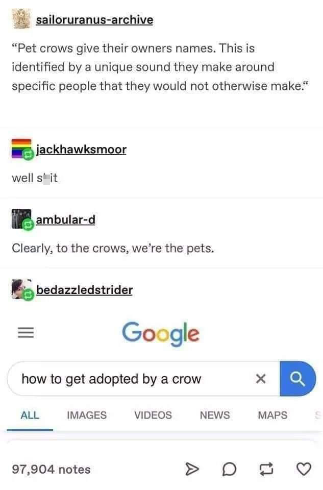 fresh memes - crow tumblr posts - sailoruranusarchive "Pet crows give their owners names. This is identified by a unique sound they make around specific people that they would not otherwise make." jackhawksmoor well sit ambulard Clearly, to the crows, we'
