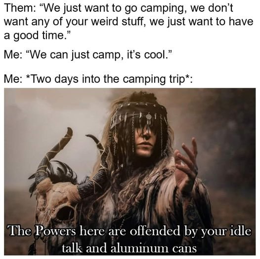 fresh memes - photo caption - Them "We just want to go camping, we don't want any of your weird stuff, we just want to have a good time." Me "We can just camp, it's cool." Me Two days into the camping trip The Powers here are offended by your idle talk an