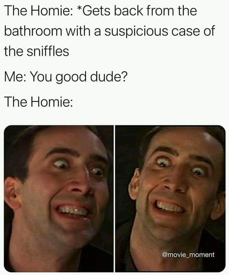 funny memes - head - The Homie Gets back from the bathroom with a suspicious case of the sniffles Me You good dude? The Homie
