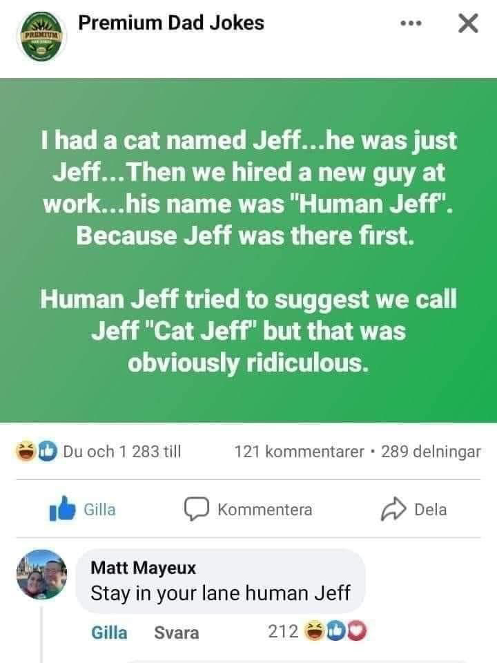 dank memes - screenshot - Premium Premium Dad Jokes I had a cat named Jeff...he was just Jeff...Then we hired a new guy at work...his name was "Human Jeff". Because Jeff was there first. Du och 1 283 till Human Jeff tried to suggest we call Jeff "Cat Jeff