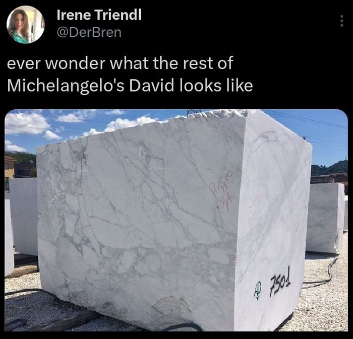 dank memes - marble - Irene Triendl ever wonder what the rest of Michelangelo's David looks Posios 13pt