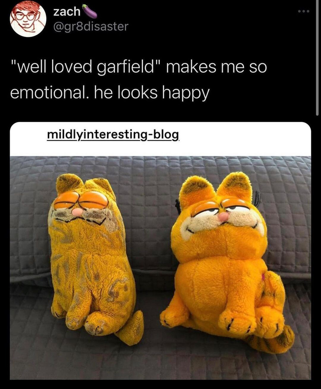dank memes - plush - zach "well loved garfield" makes me so emotional. he looks happy mildlyinterestingblog