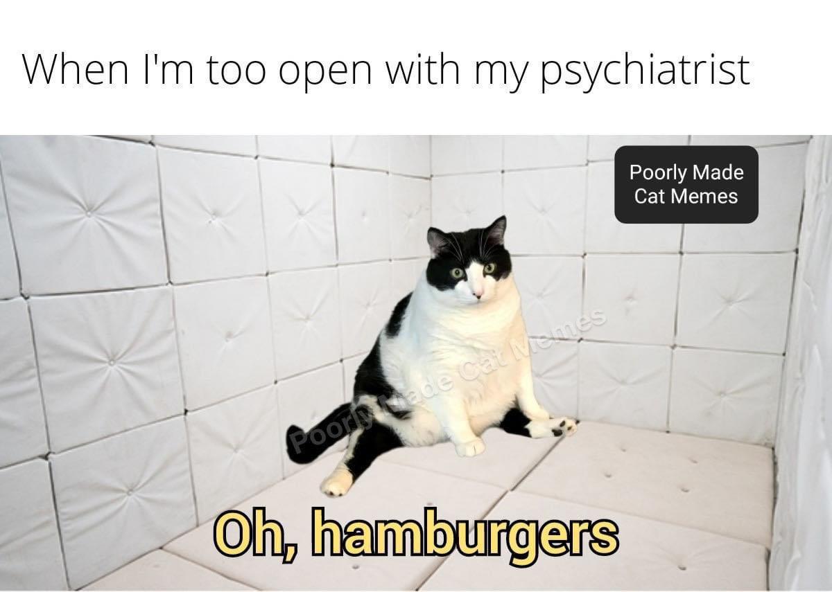 dank memes - cat - When I'm too open with my psychiatrist Poorly Made Cat Memes Poorly ade Cat Memes Oh, hamburgers