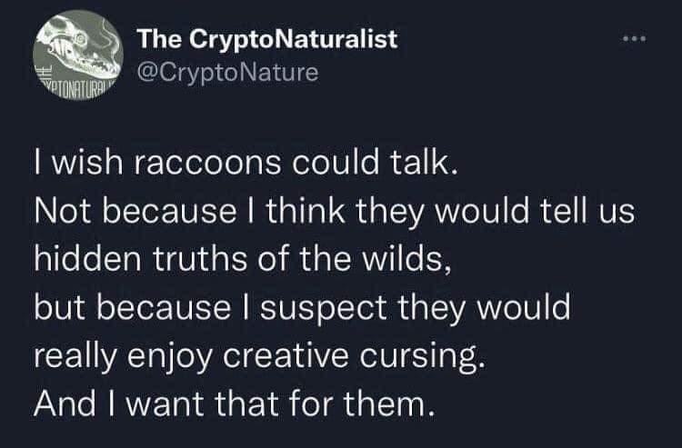 twitter memes - atmosphere - 518 Vptonatural The CryptoNaturalist ... I wish raccoons could talk. Not because I think they would tell us hidden truths of the wilds, but because I suspect they would really enjoy creative cursing. And I want that for them.