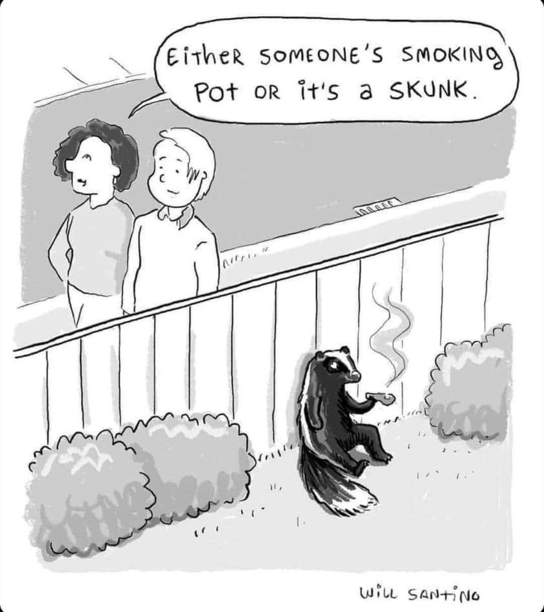 best memes of the week - cartoon - EitheR Someone'S Smoking Pot Or it's a Skunk. 151 How N 100000 WiLL Santing