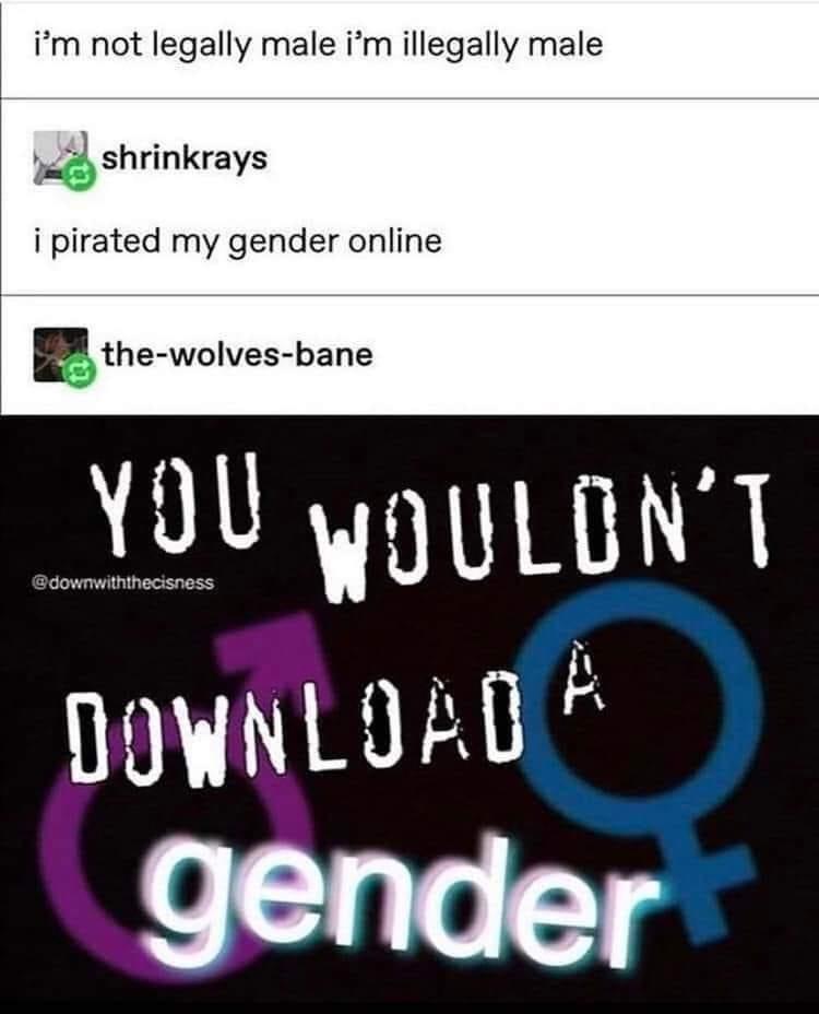 monday morning randomness - you wouldn t download - i'm not legally male i'm illegally male shrinkrays i pirated my gender online thewolvesbane You Wouldn'T Download A gender