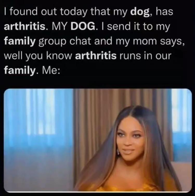 monday morning randomness - head - I found out today that my dog, has arthritis. My Dog. I send it to my family group chat and my mom says, well you know arthritis runs in our family. Me