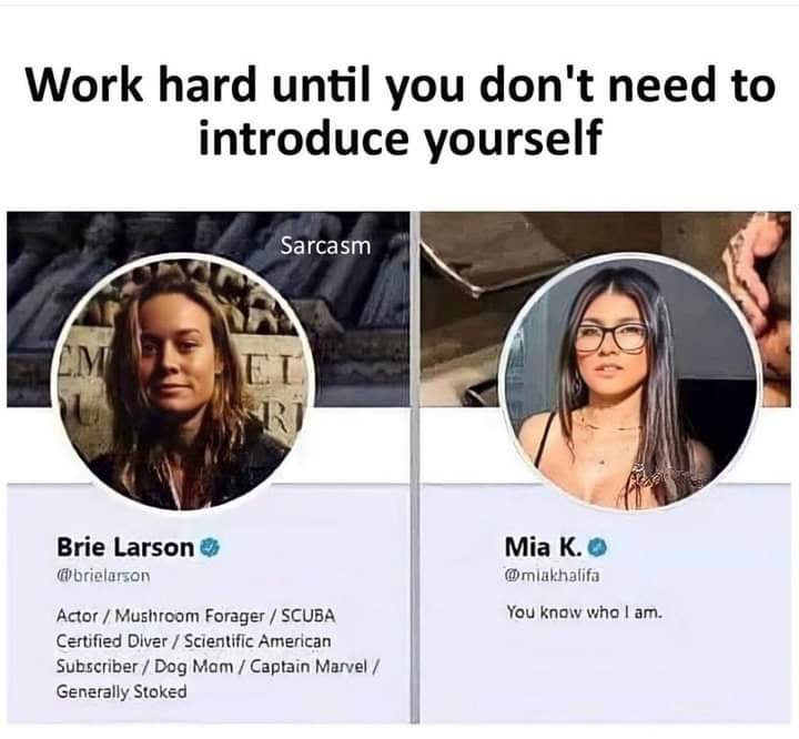 monday morning randomness - work until you don t have to introduce yourself mia khalifa - Work hard until you don't need to introduce yourself M Brie Larson Sarcasm Ri Actor Mushroom Forager Scuba Certified Diver Scientific American Subscriber Dog Mam Cap