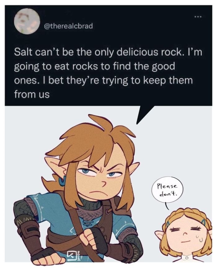 dank memes - salt can t be the only delicious rock - Salt can't be the only delicious rock. I'm going to eat rocks to find the good ones. I bet they're trying to keep them from us Nonn 13 Please don't.