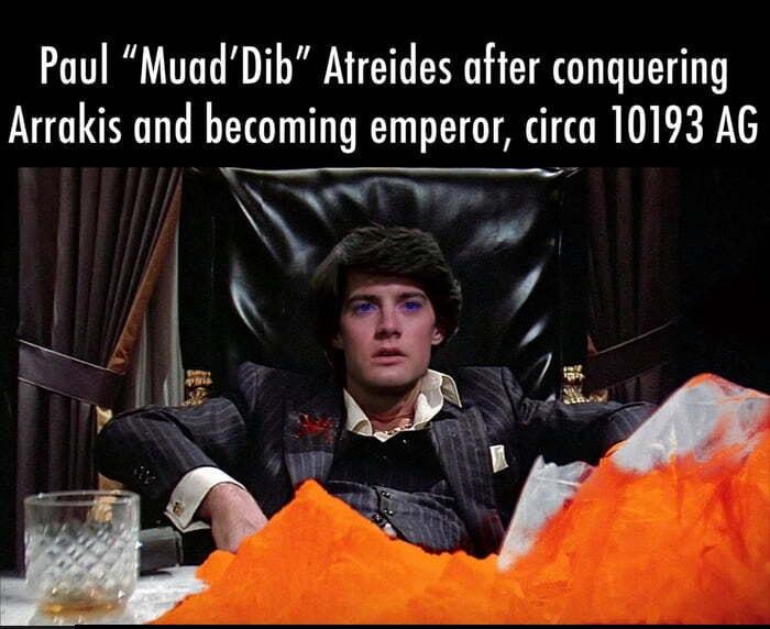 dank memes - photo caption - Paul "Muad'Dib" Atreides after conquering Arrakis and becoming emperor, circa 10193 Ag pay is