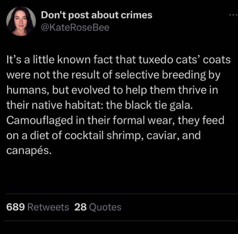 funny tweets and twitter memes - philosophical quotes - Don't post about crimes It's a little known fact that tuxedo cats' coats were not the result of selective breeding by humans, but evolved to help them thrive in their native habitat the black tie gal