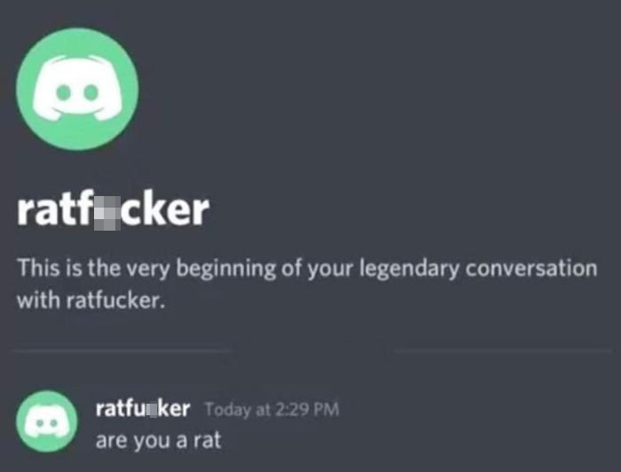 cool pics and funny memes - you a rat discord meme - ratf_cker This is the very beginning of your legendary conversation with ratfucker. ratfunker Today at are you a rat