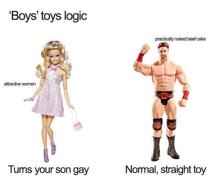 cool pics and funny memes - feminine memes - 'Boys' toys logic attractive women Turns your son gay practically naked beef cake Normal, straight toy