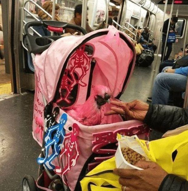 Subway Sights That Are Not For The Weak Of Heart