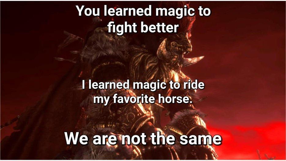 funny memes - You learned magic to fight better I learned magic to ride my favorite horse. We are not the same