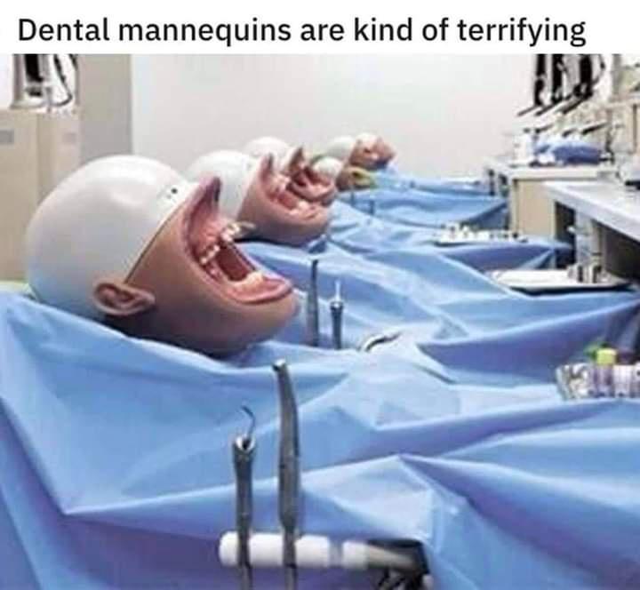 funny memes - medical equipment - Dental mannequins are kind of terrifying