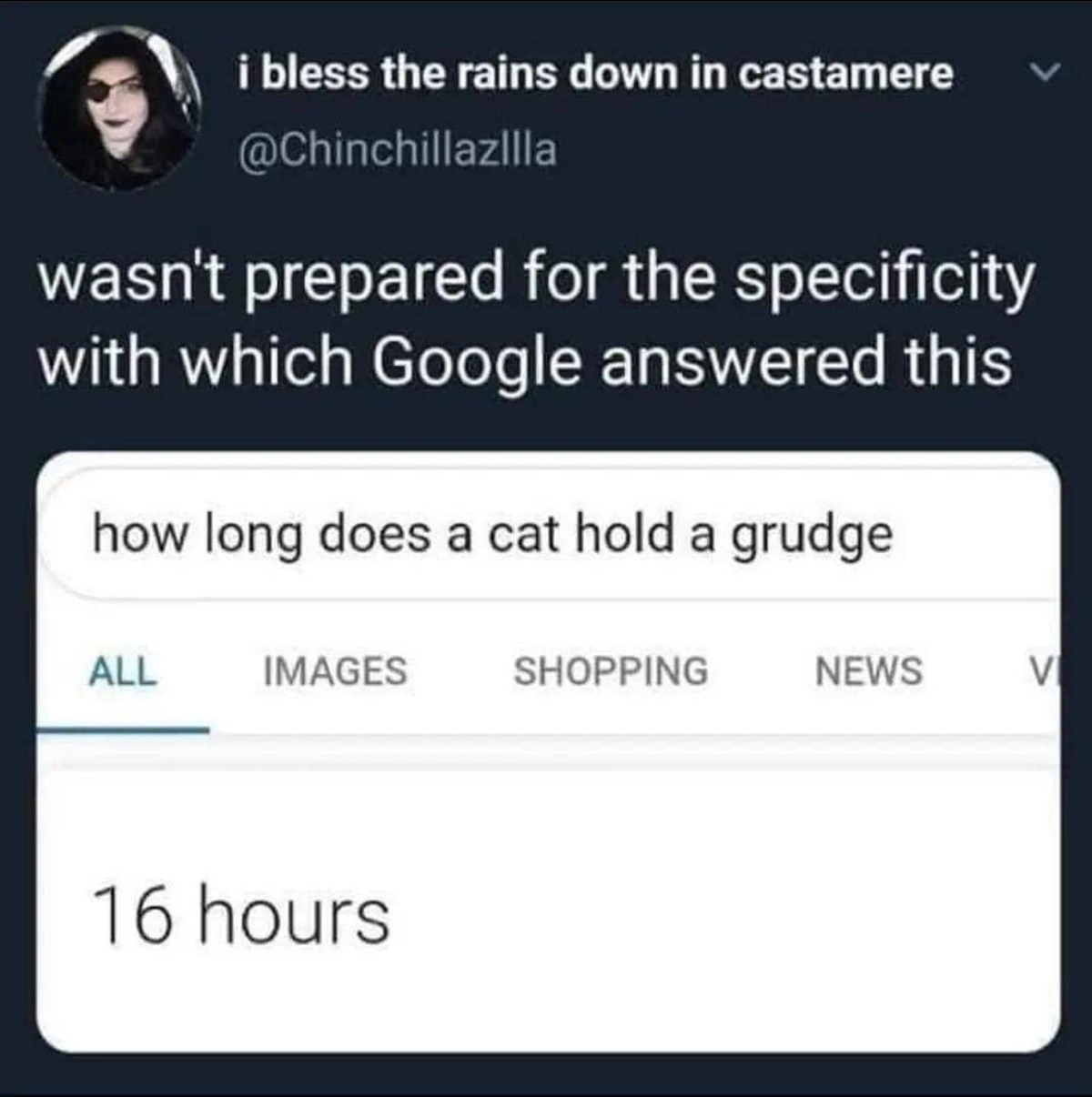 monday memes - software - i bless the rains down in castamere wasn't prepared for the specificity with which Google answered this how long does a cat hold a grudge All Images 16 hours Shopping News Vi