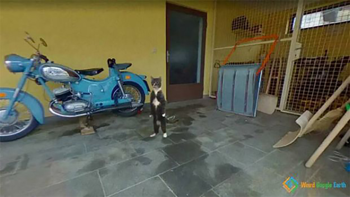 WTF Google Street View Photos That Will Take You All The Way