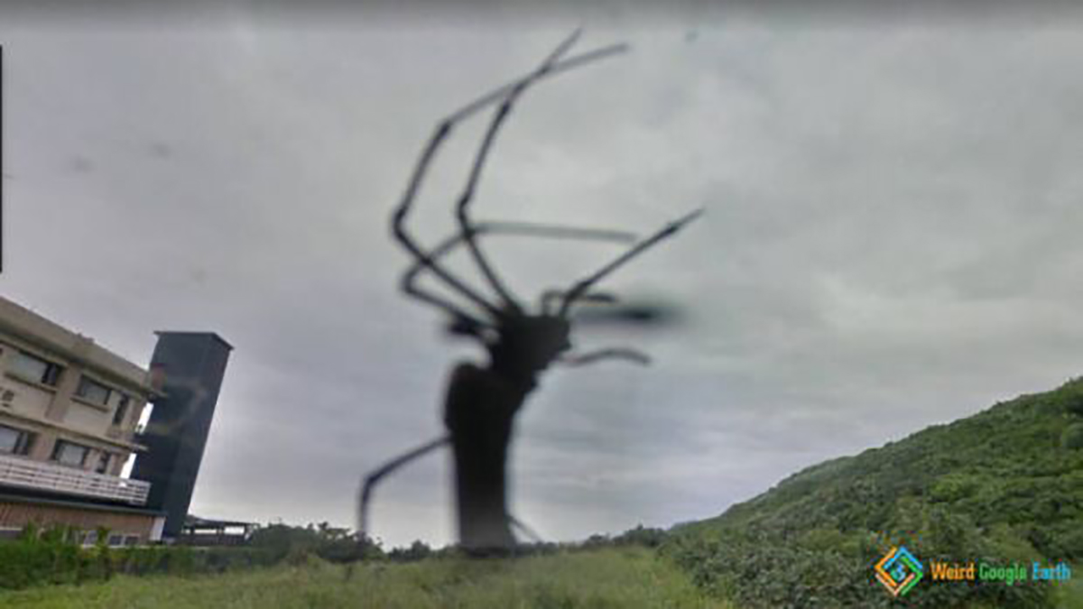 WTF Google Street View Photos That Will Take You All The Way