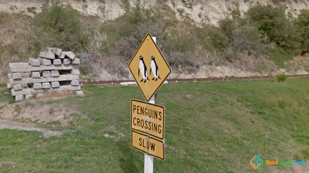 WTF Google Street View Photos That Will Take You All The Way