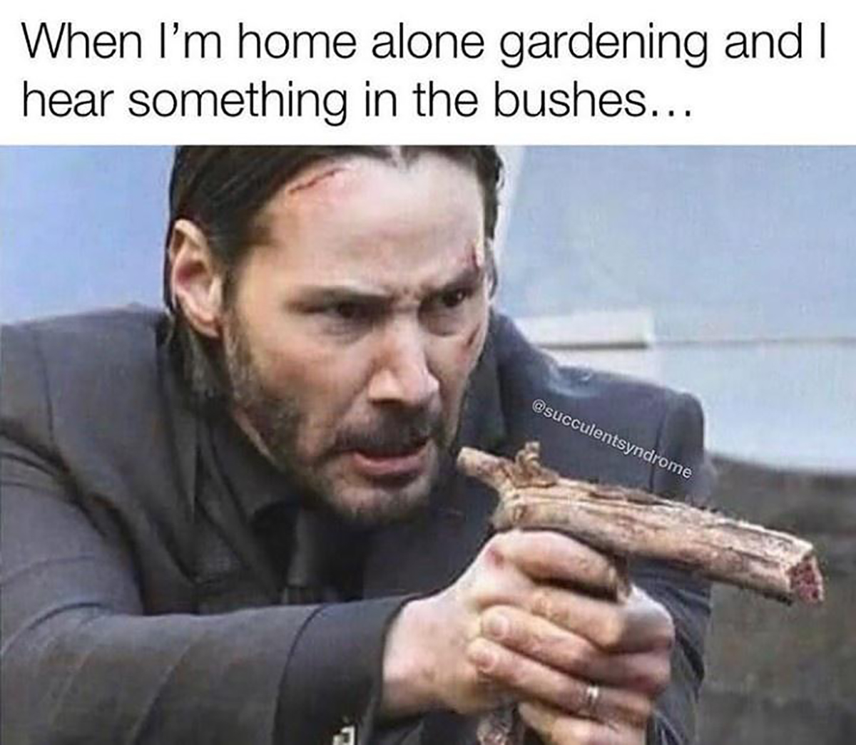 fresh memes - photo caption - When I'm home alone gardening and I hear something in the bushes...
