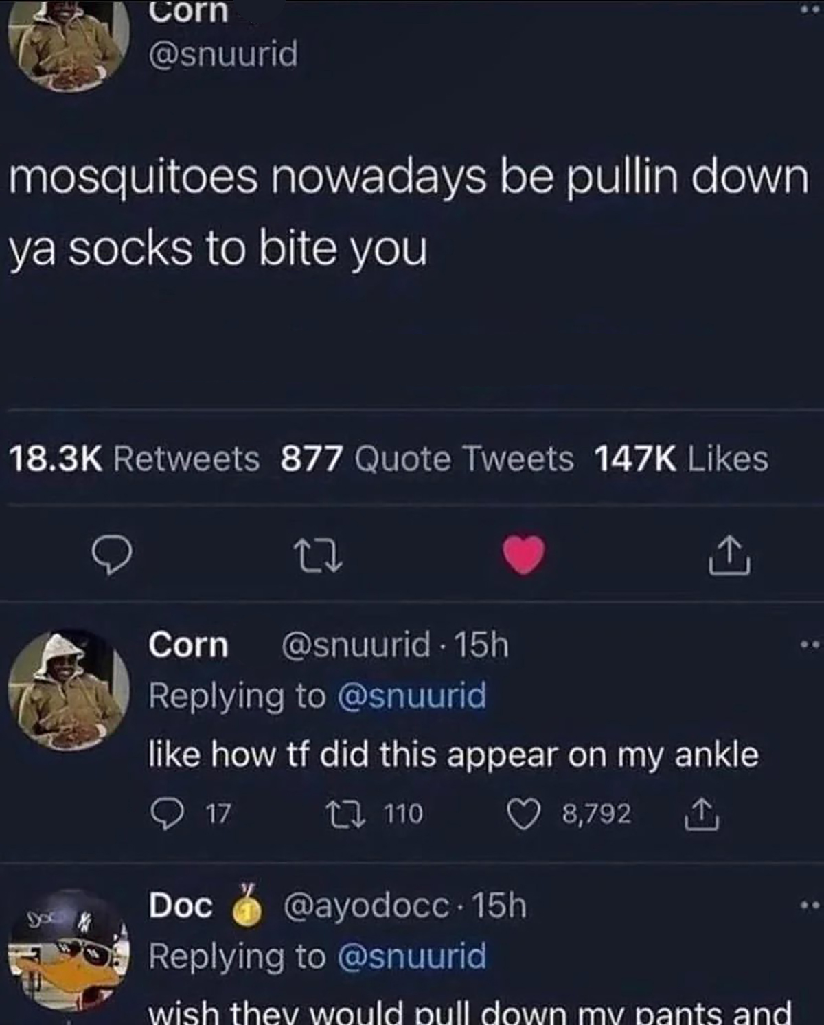mosquitoes be pulling down your socks to bite you - Corn mosquitoes nowadays be pullin down ya socks to bite you 877 Quote Tweets 27 Corn 15h how tf did this appear on my ankle 17 110 8,792 Doc 15h wish they would pull down my pants and