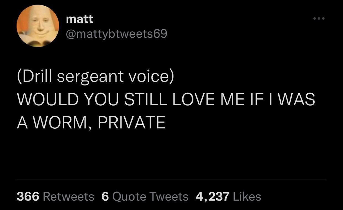 matt Drill sergeant voice Would You Still Love Me If I Was A Worm, Private 366 6 Quote Tweets 4,237