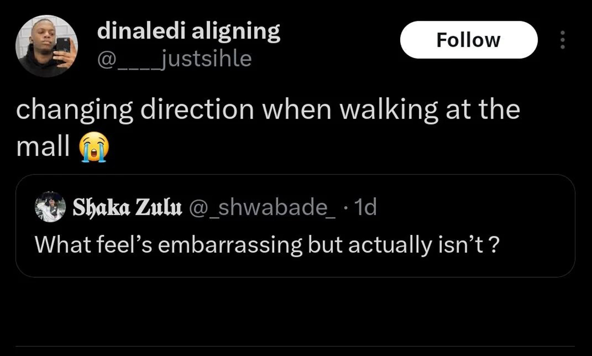 screenshot - dinaledi aligning changing direction when walking at the mall Shaka Zulu 1d What feel's embarrassing but actually isn't?