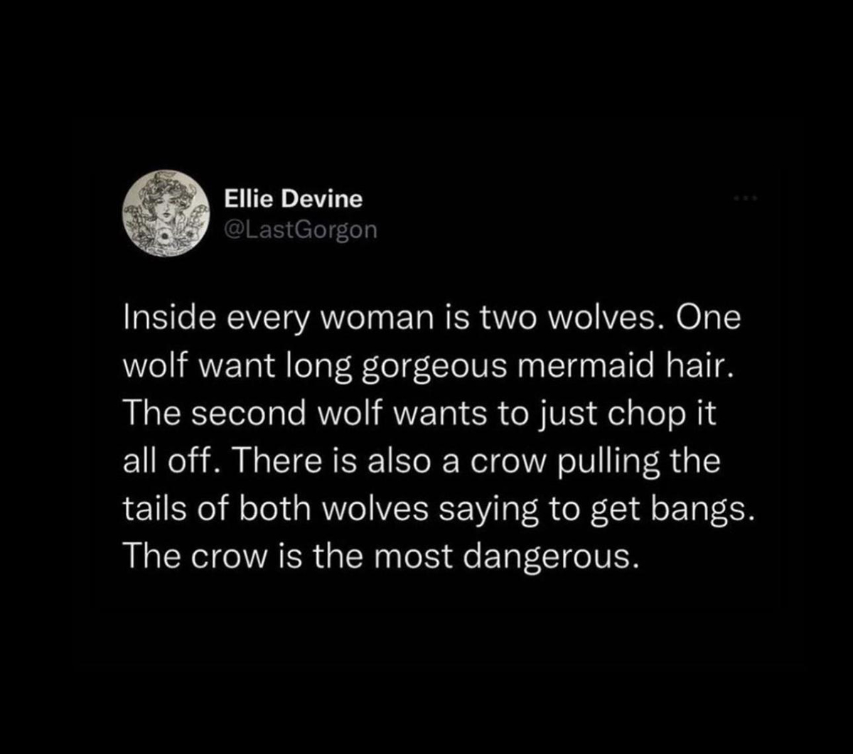 dank memes - inside every woman is two wolves - Ellie Devine Inside every woman is two wolves. One wolf want long gorgeous mermaid hair. The second wolf wants to just chop it all off. There is also a crow pulling the tails of both wolves saying to get ban