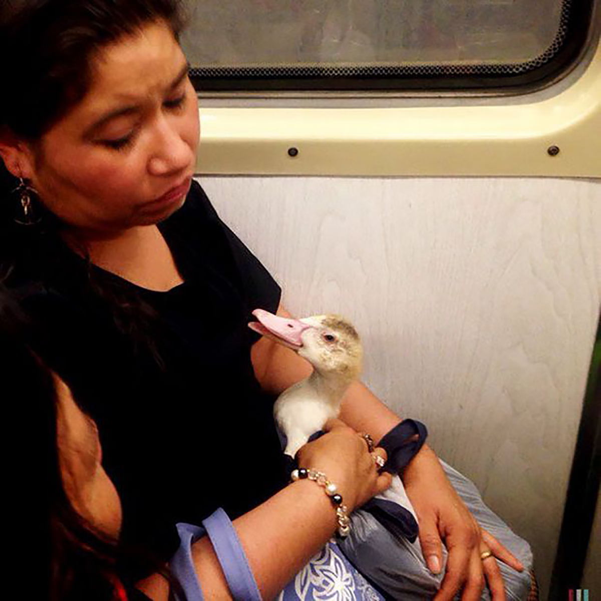 23 WTF Sights That Can Come Only From The Subway