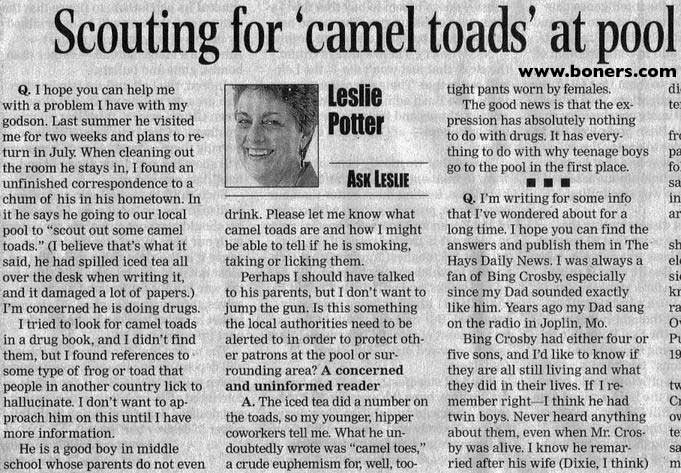 camel toads lol