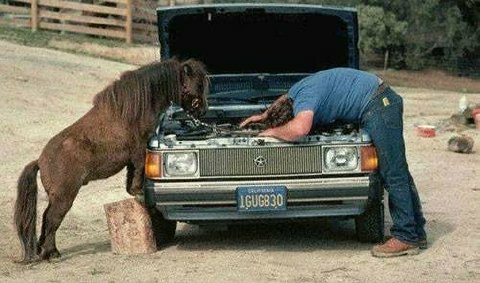 you can't be a mechanic, you have no thumbs