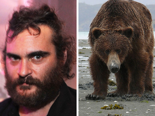 Joaquin Phoenix, Brown Bear