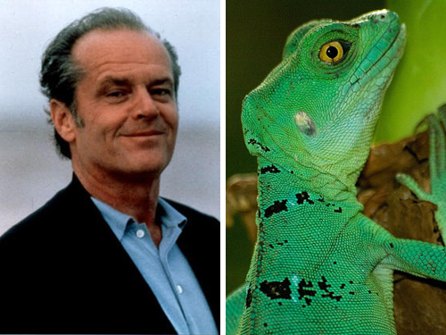 Jack Nicholson, Green Lizard