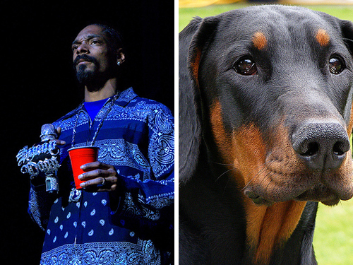Snoop Dogg, Doberman Pincer
