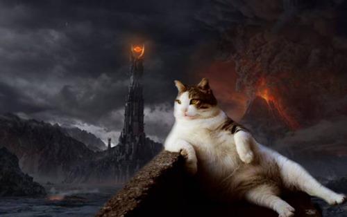 R.A.G. - Rockczar's Awesome Gallery