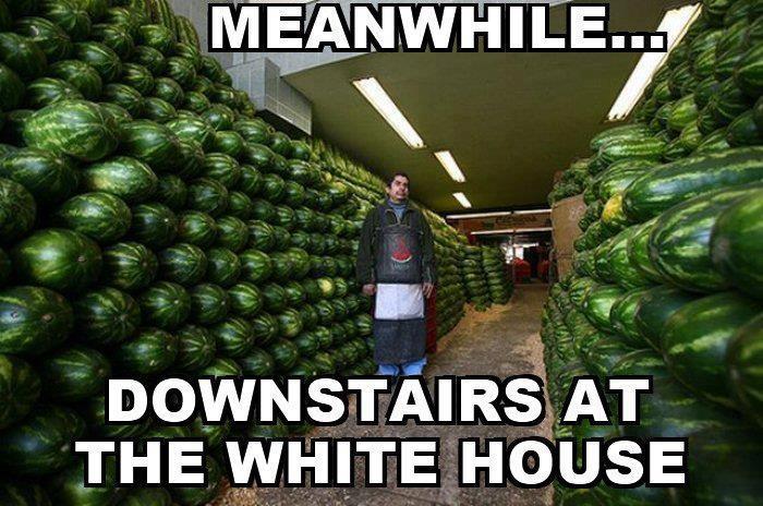 R.A.G. - Rockczar's Awesome Gallery