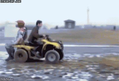 Best GIFs Of All Time