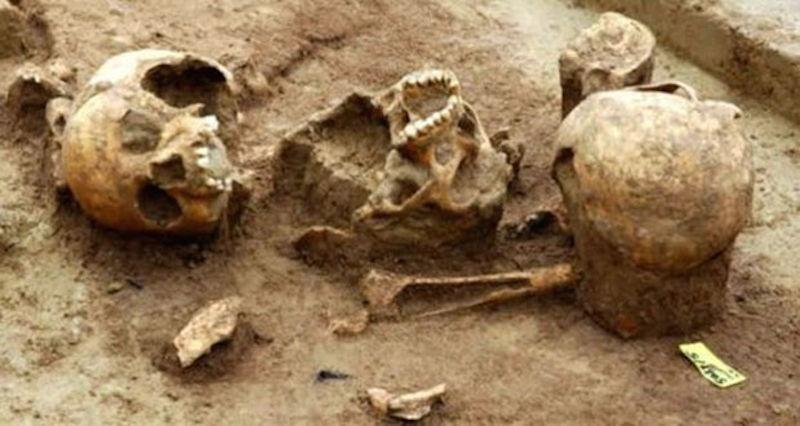 Mass Cannibal Grave In GermanyOkay this is the creepiest thing ever this grave in Germany is said to contain the remains of 500 bodies, all of which were chopped, cooked, and eaten some 7,000 years ago.