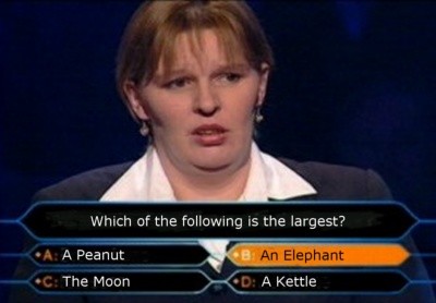stupid lady on who wants to be a millionare