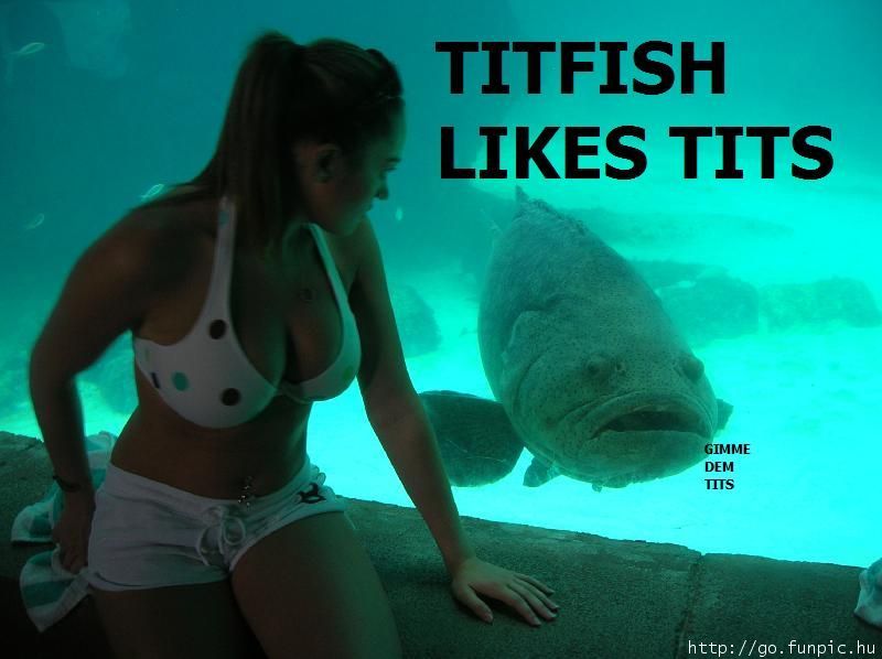 Random Funny WTF Gallery