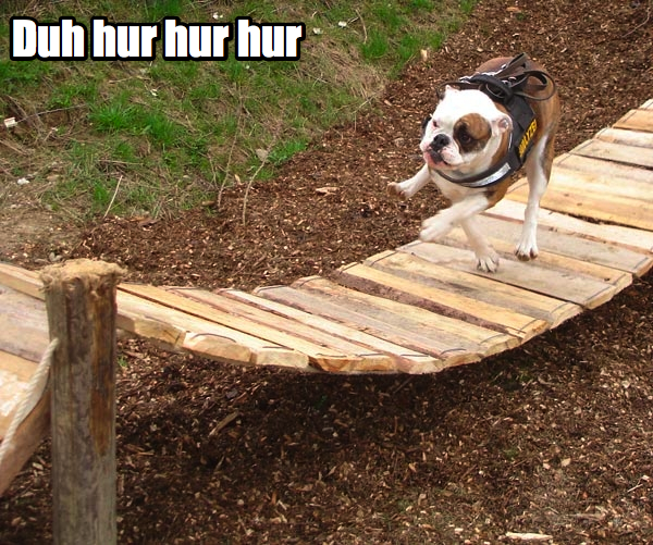 Random Funny WTF Gallery