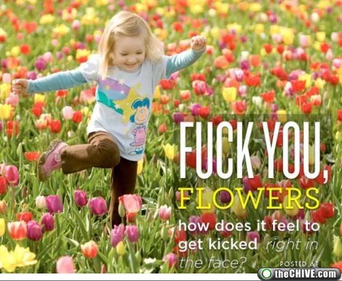 Random Funny WTF Gallery