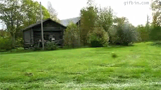 Just some GIFs