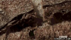 Random Funny WTF Gallery...