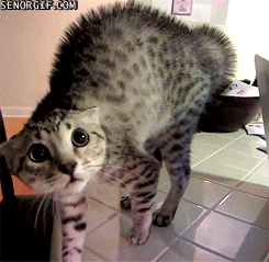 Random Funny WTF Gallery...